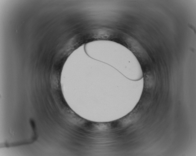 X0000097880370200803140948