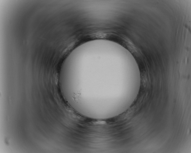 X0000097880374200803140948