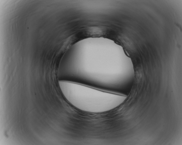 X0000097880379200803140948