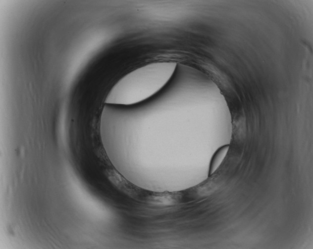 X0000097880381200803140948