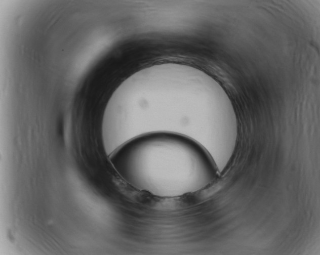 X0000097880382200803140948
