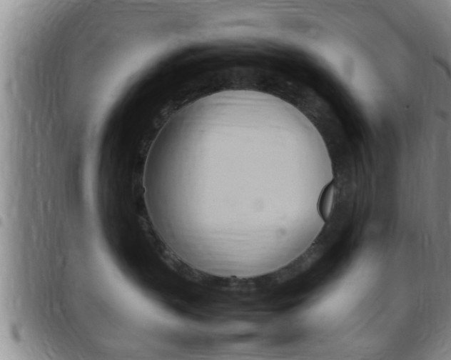 X0000097880383200803140948