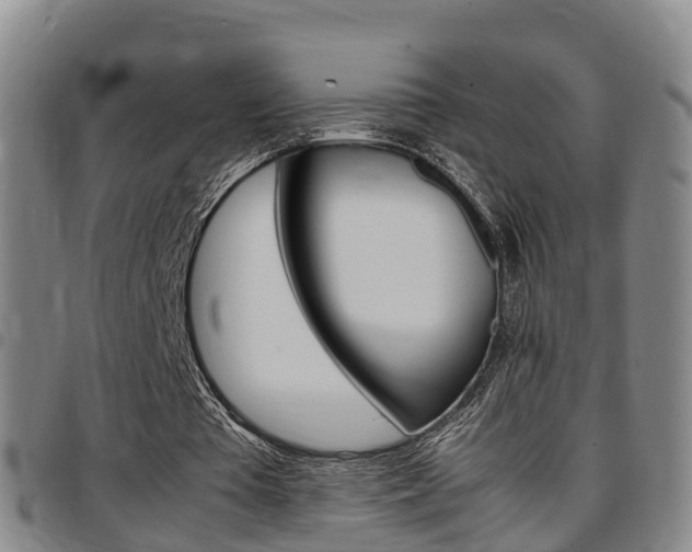 X0000097880385200803140947