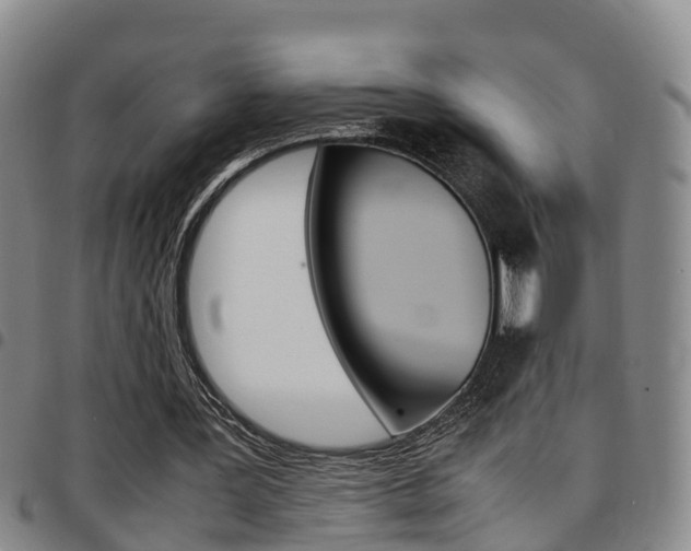X0000097880387200803140947