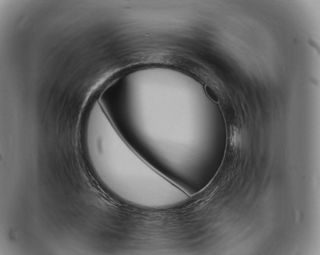 X0000097880388200803140947