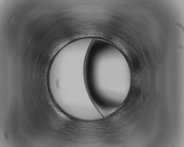 X0000097880389200803140947