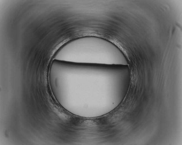 X0000097880390200803140947