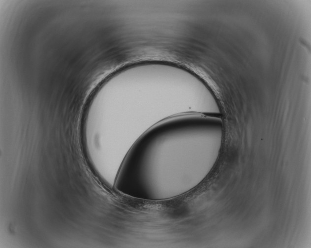 X0000097880391200803140947