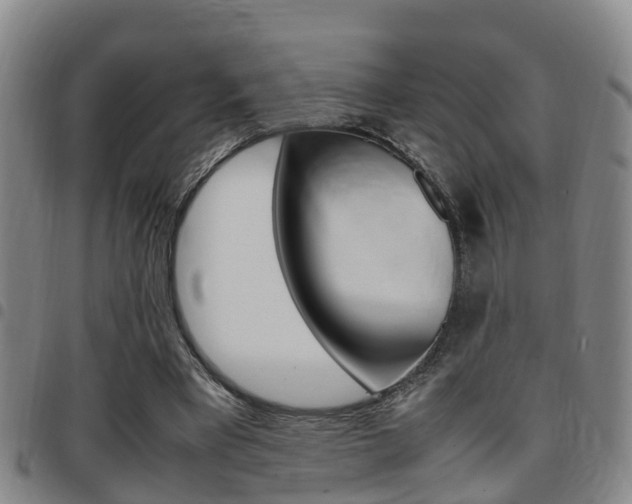 X0000097880393200803140947