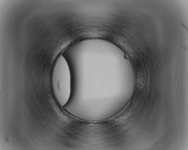 X0000097880394200803140947