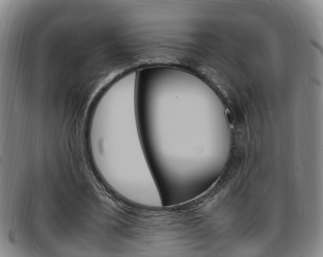 X0000097880395200803140947