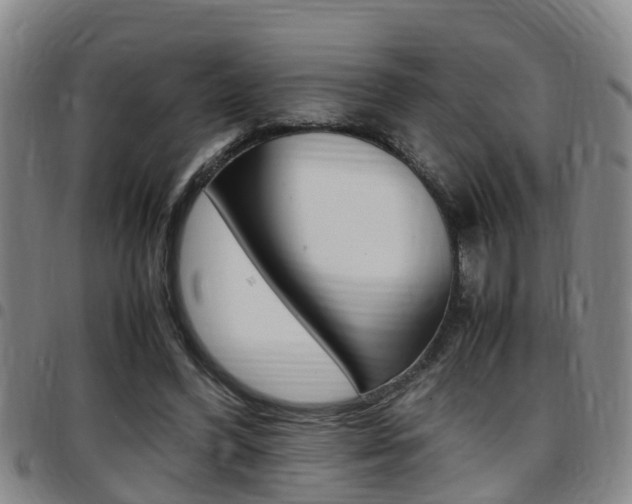X0000097880396200803140947