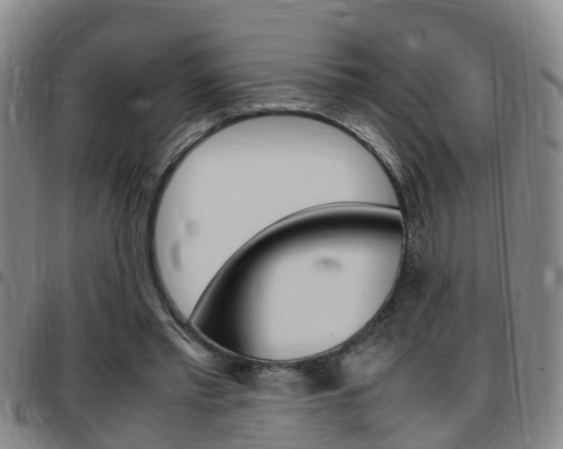 X0000097880397200803140947