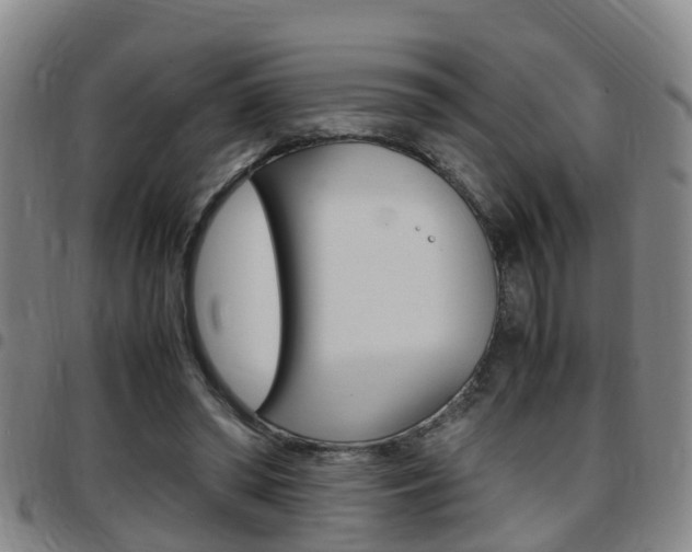 X0000097880398200803140947