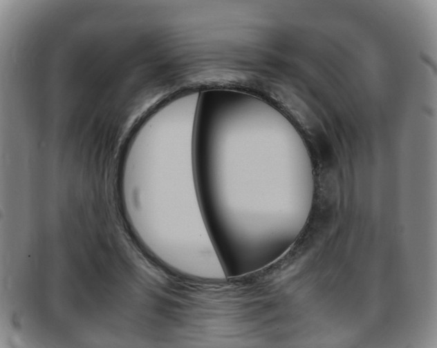 X0000097880399200803140947