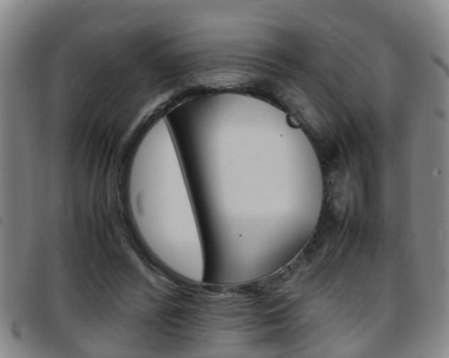 X0000097880400200803140947
