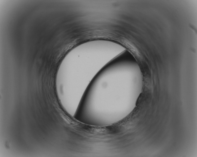X0000097880401200803140947