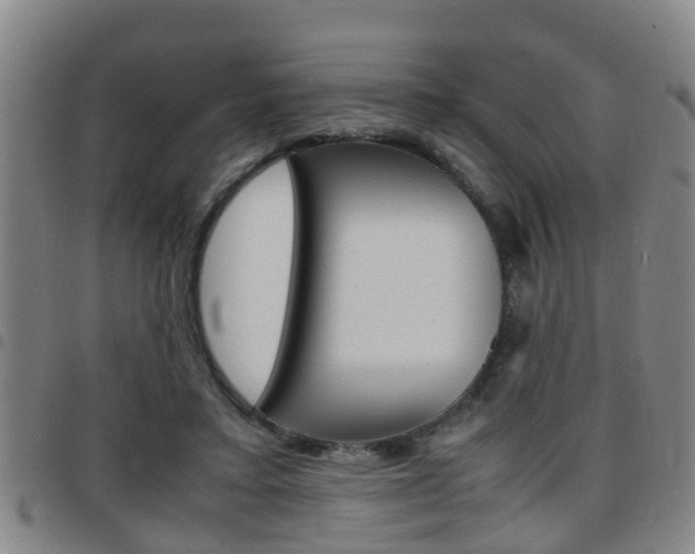X0000097880403200803140947