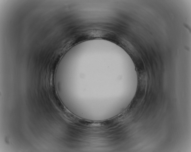 X0000097880406200803140947