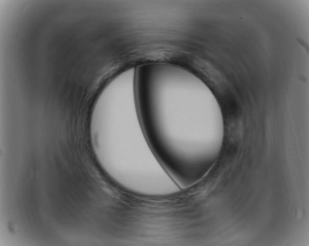 X0000097880407200803140947