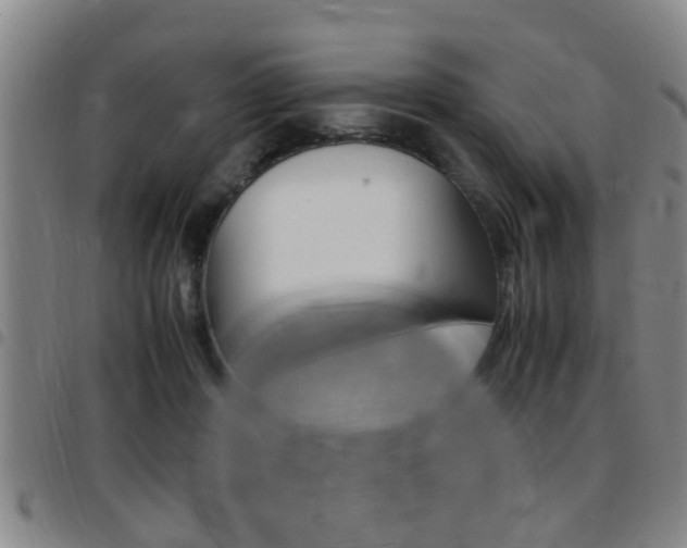 X0000097880408200803140947