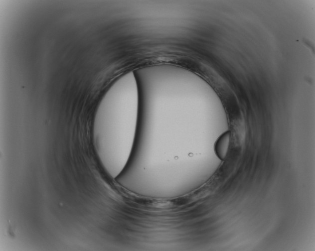 X0000097880410200803140947