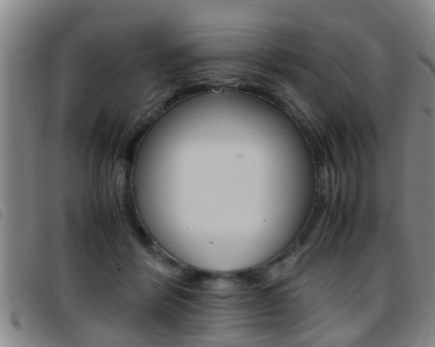 X0000097880412200803140947