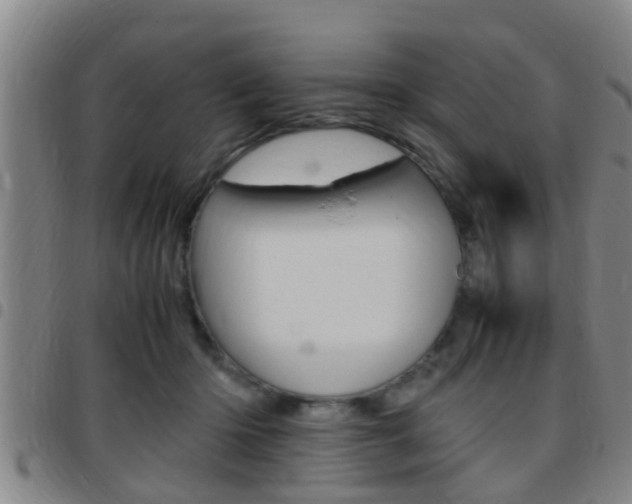 X0000097880414200803140947