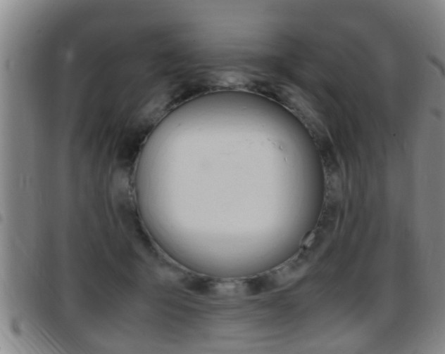 X0000097880415200803140947