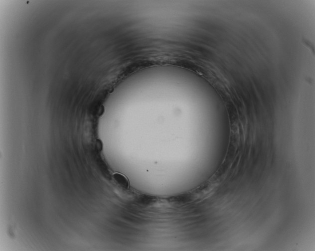 X0000097880416200803140947