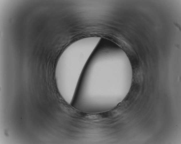 X0000097880417200803140947