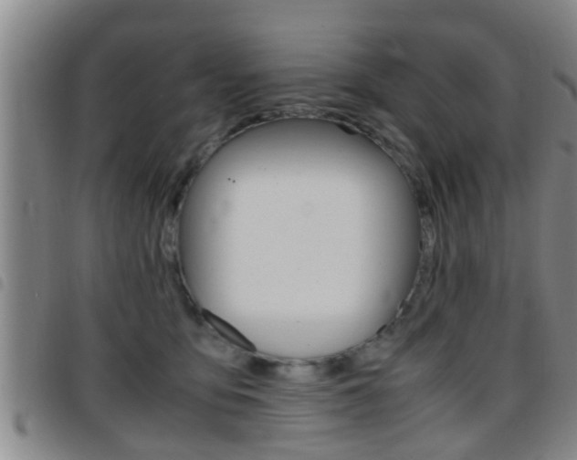 X0000097880419200803140947
