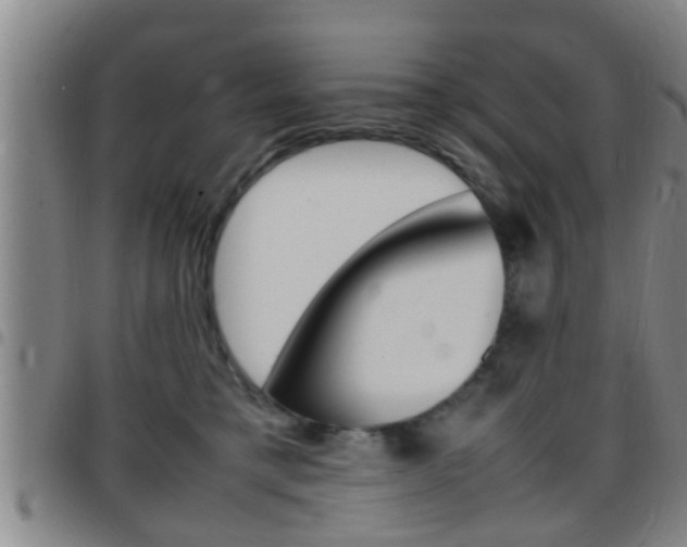 X0000097880421200803140947