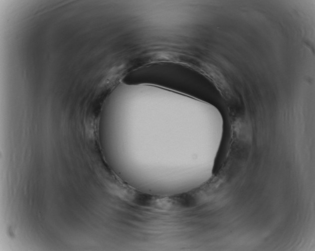 X0000097880423200803140947