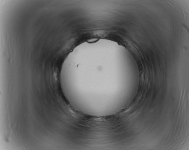 X0000097880424200803140946