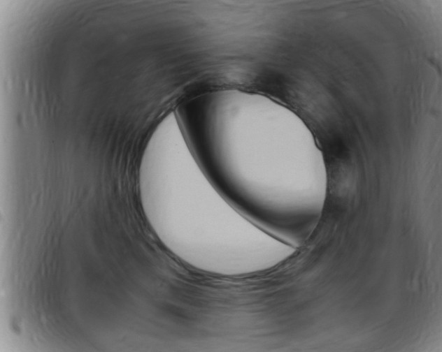 X0000097880425200803140946