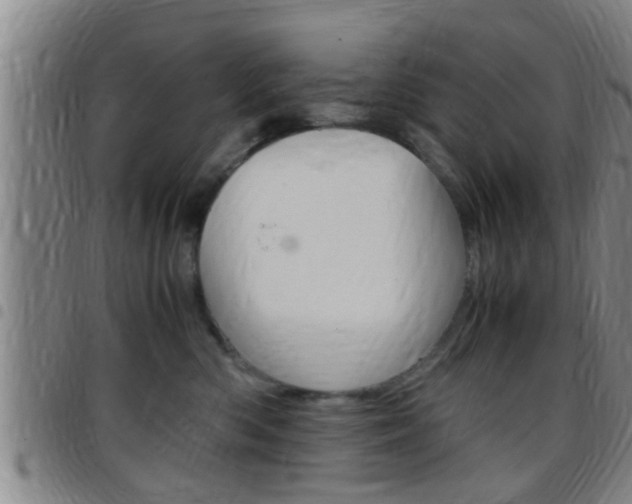 X0000097880426200803140946