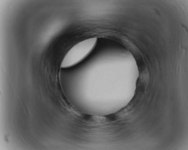 X0000097880429200803140946