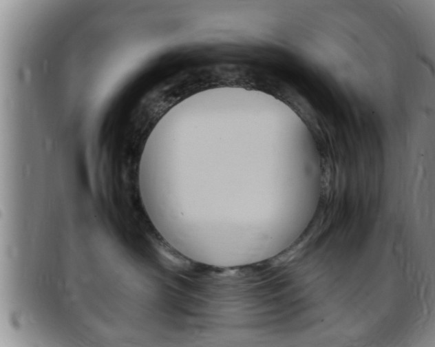 X0000097880430200803140946
