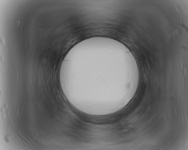 X0000097880431200803140946
