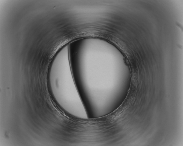 X0000097880434200803140946