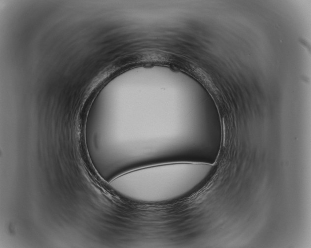 X0000097880435200803140946