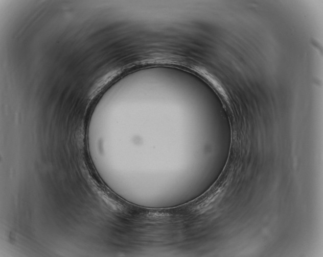 X0000097880437200803140946