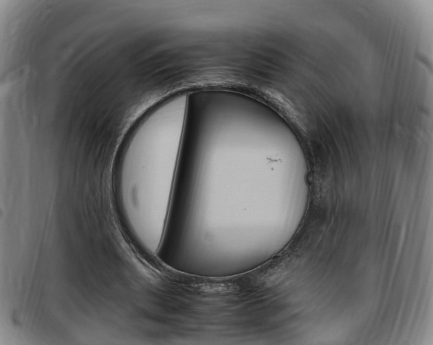 X0000097880439200803140946