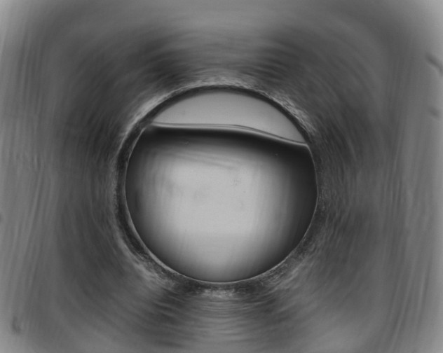 X0000097880440200803140946