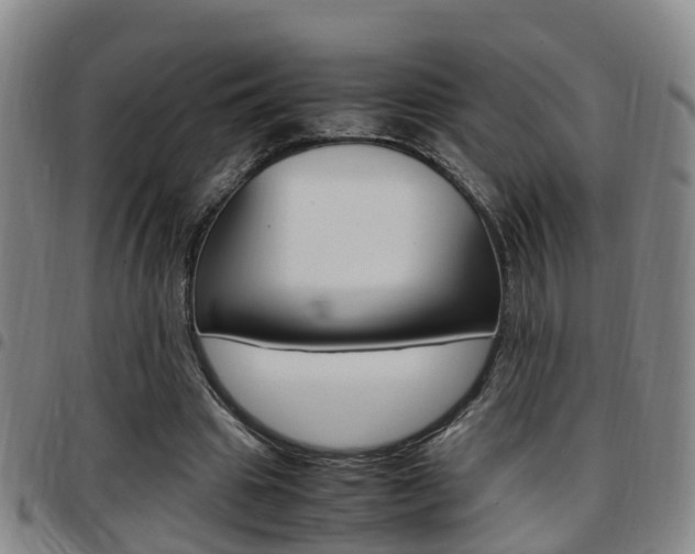 X0000097880441200803140946