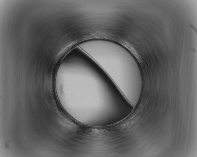 X0000097880442200803140946