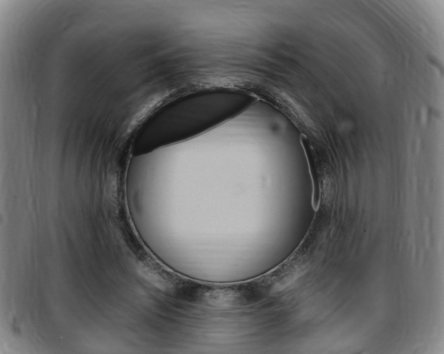 X0000097880444200803140946