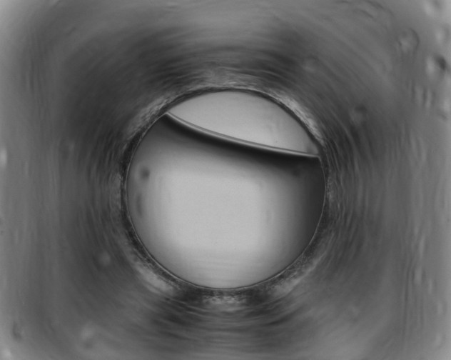 X0000097880445200803140946