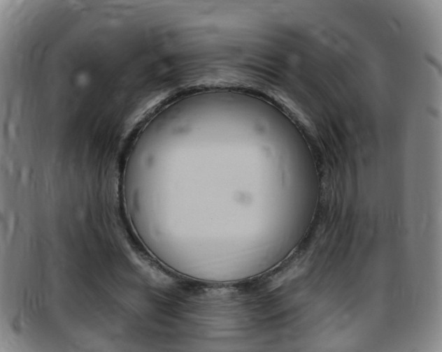 X0000097880446200803140946